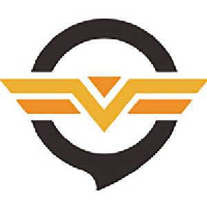 奇游加速器 - 窃贼地精加速器排行榜